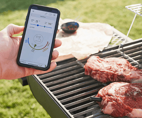 Wireless-meat-thermometer